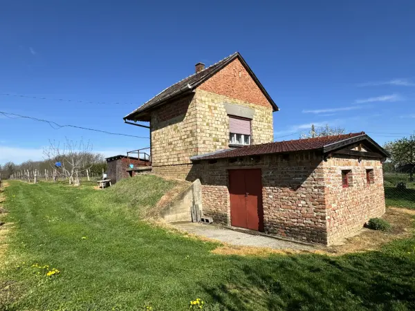 Eladó Szőlős, Csapi 8053 m² 6 M Ft