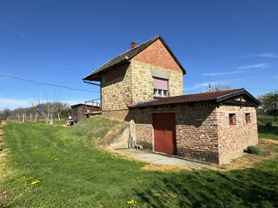 eladó  Szőlős, Csapi