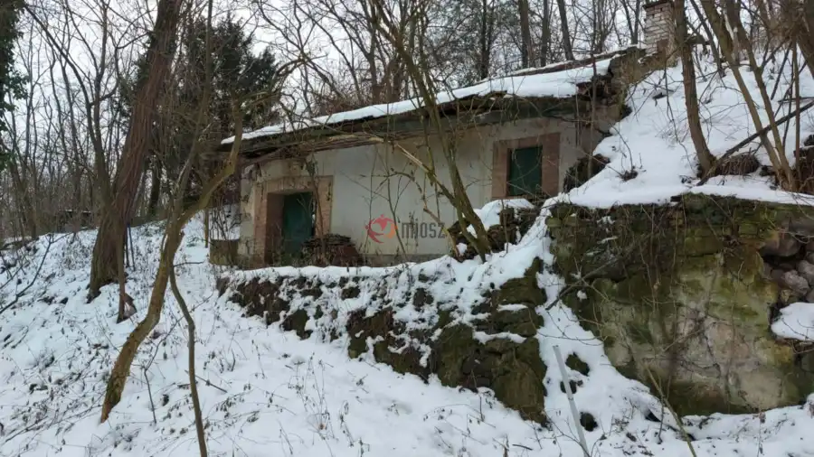 eladó  Szőlős, Esztergom