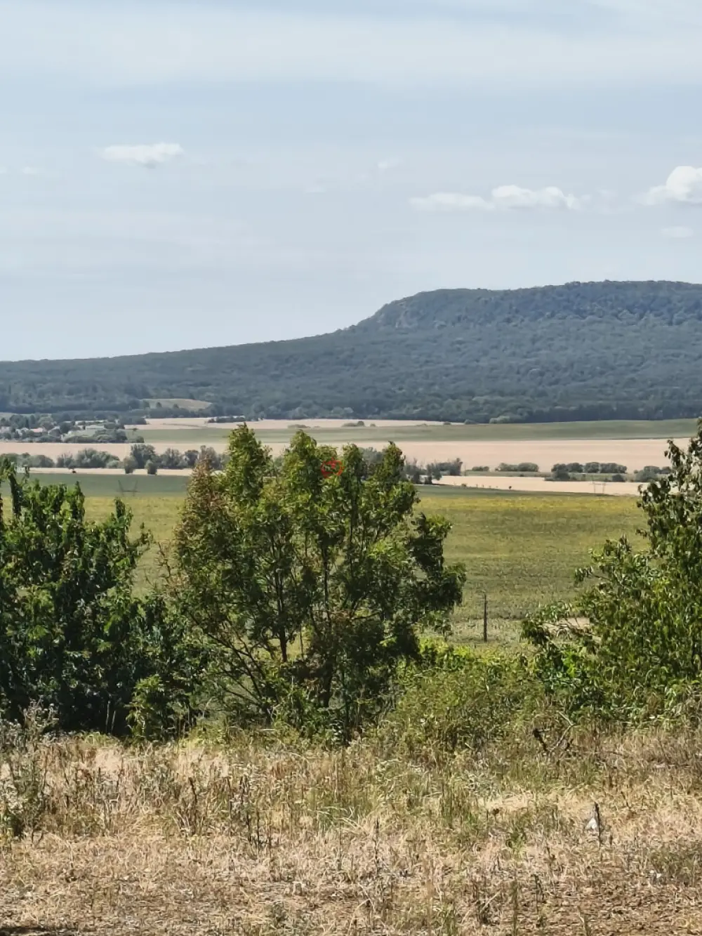 Komárom-Esztergom megye - Héreg
