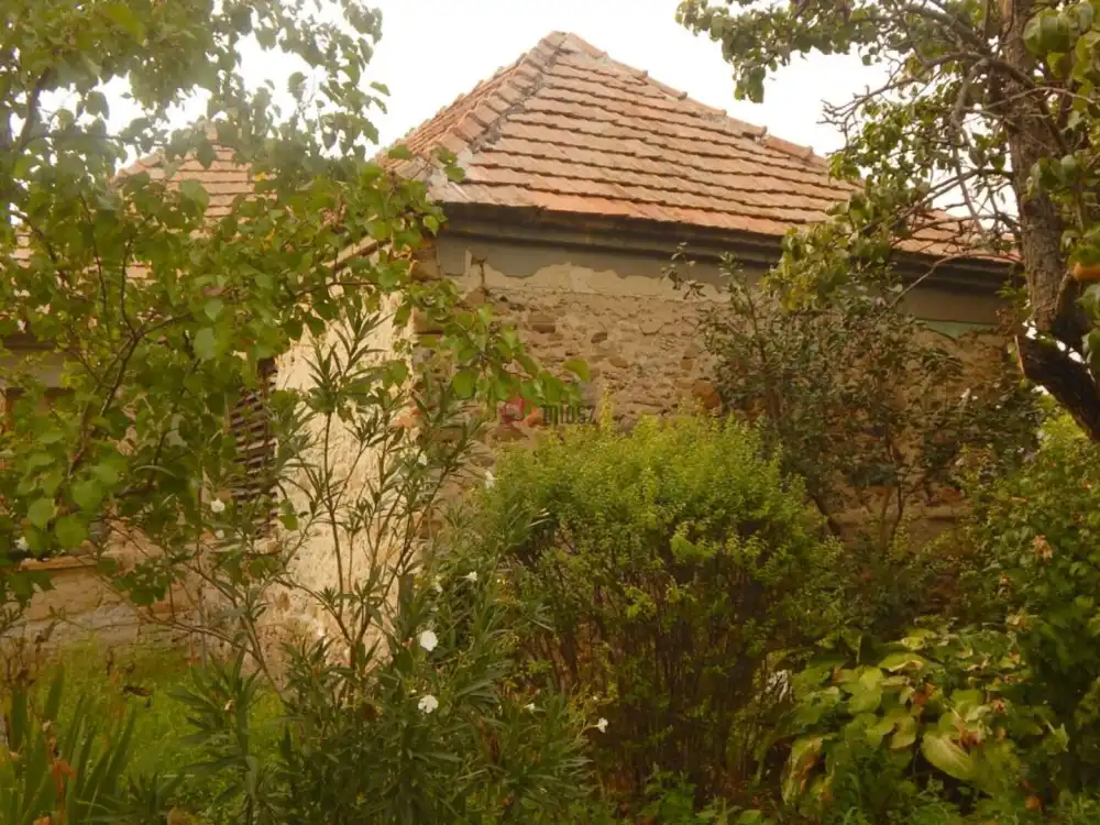 Veszprém megye - Kisapáti