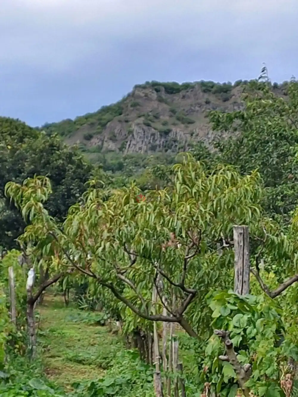 Veszprém megye - Kisapáti