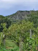 Veszprém megye - Kisapáti