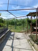 Zala megye - Letenye