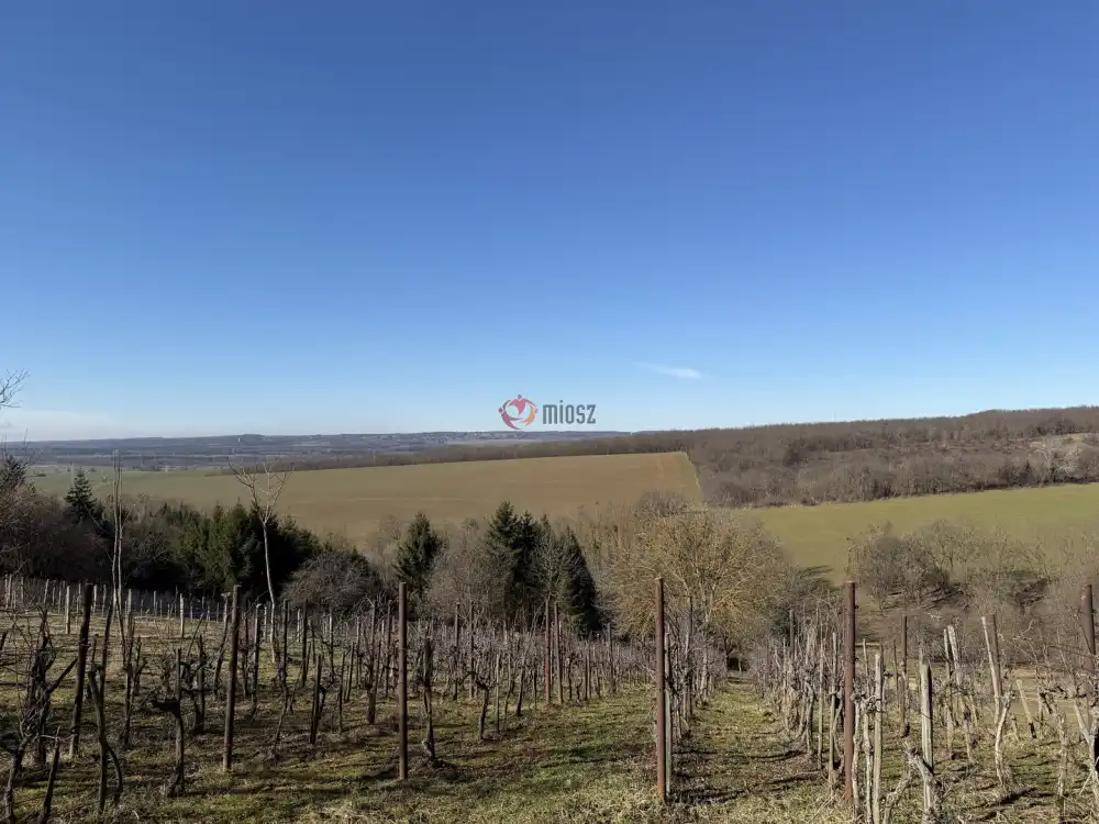 Zala megye - Nagykanizsa