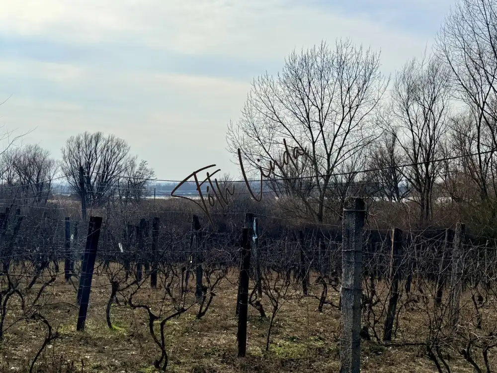 Komárom-Esztergom megye - Oroszlány