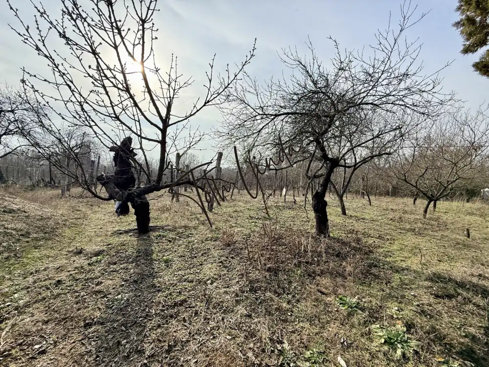 Komárom-Esztergom megye - Oroszlány