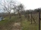 Veszprém megye - Tapolca