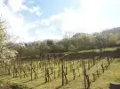 Veszprém megye - Tapolca