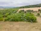 Pest megye - Vác