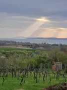 Somogy megye - Zamárdi
