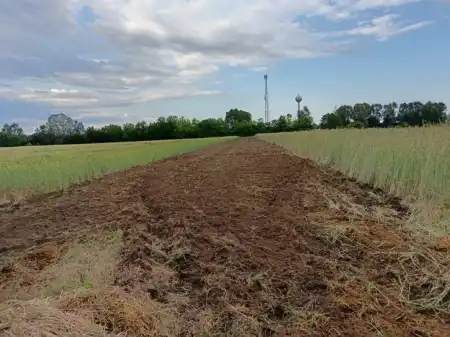 eladó telek, Albertirsa