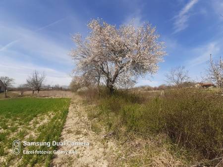eladó telek, Balatonfőkajár