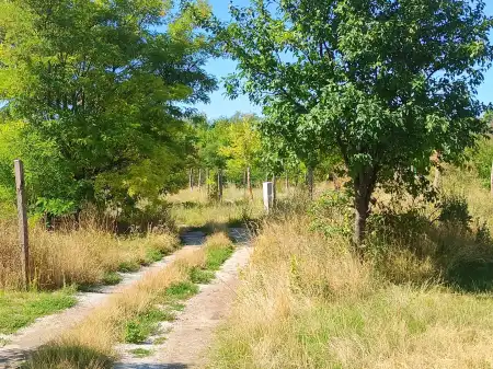 Eladó telek, Balatonfüred 2764 m² 112 M Ft