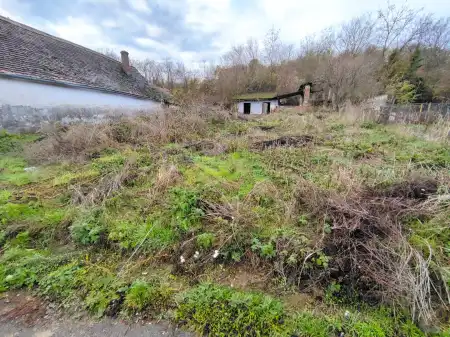 Eladó telek, Bár 1479 m² 1.3 M Ft