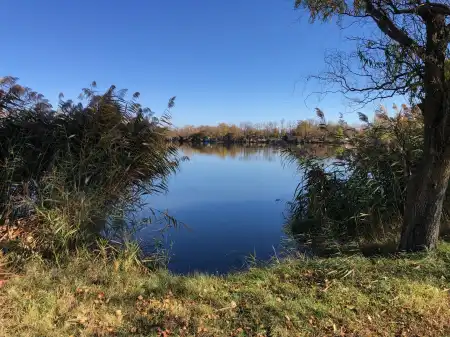 eladó telek, Békés