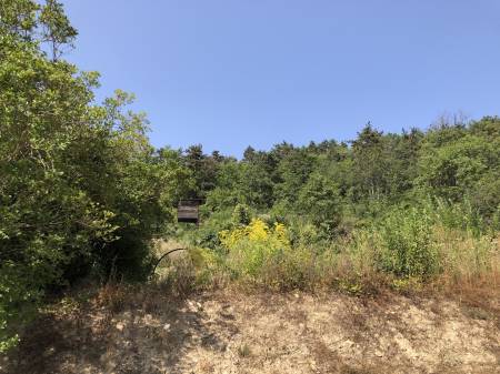 eladó telek, Budaörs