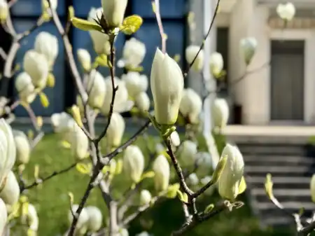 eladó telek, Budapest, XII. kerület