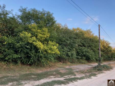 eladó telek, Dabas