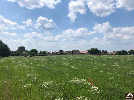 eladó telek, Dabas