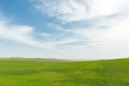 Eladó telek, Dabas 806 m² 7.99 M Ft