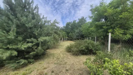 Eladó telek, Hajdúböszörmény-Bodaszőlő 718 m² 3.5 M Ft