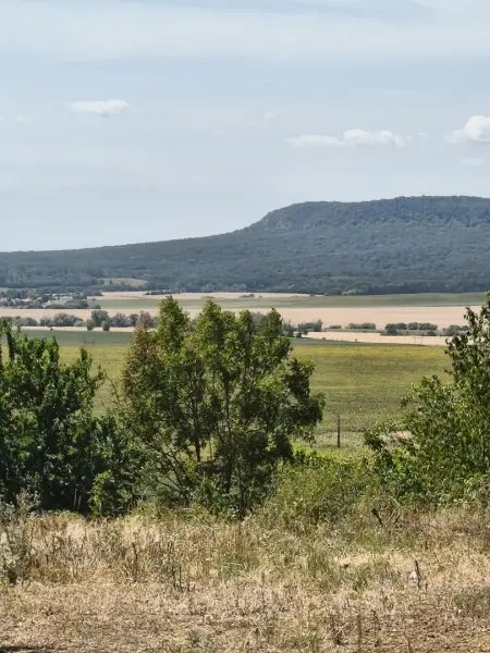 Eladó telek, Héreg 986 m² 2 M Ft