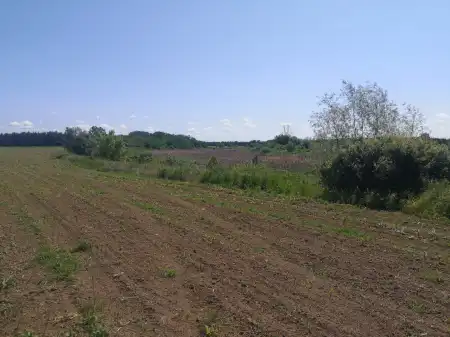 Eladó telek, Jánd 71000 m² 199 M Ft