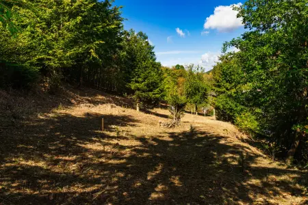 Eladó telek, Mátrakeresztes 598 m² 12 M Ft