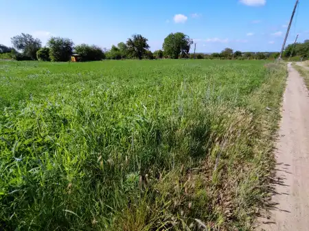 Eladó telek, Mohács 5667 m² 3 M Ft