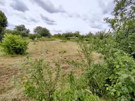 Eladó telek, Mohács 4470 m² 4.2 M Ft