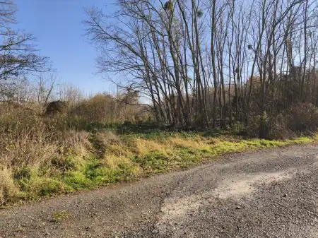 Eladó telek, Nagypáli 12209 m² 55 M Ft