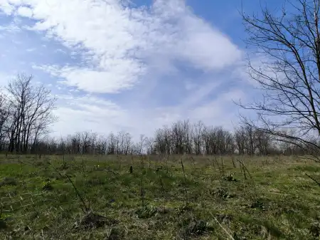 Eladó telek, Paks 10 m² 95 M Ft