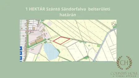 Eladó telek, Sándorfalva 10294 m² 10.9 M Ft