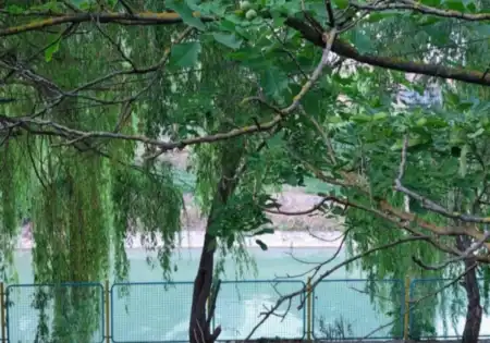 Eladó telek, Siófok 901 m² 175 M Ft