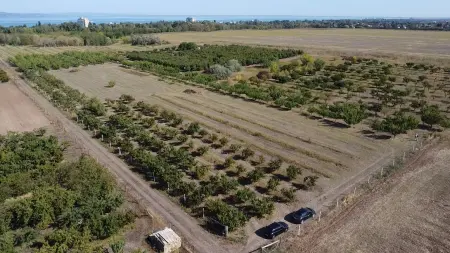 Eladó telek, Siófok 5617 m² 8.9 M Ft