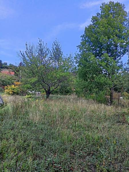 eladó telek, Szentendre
