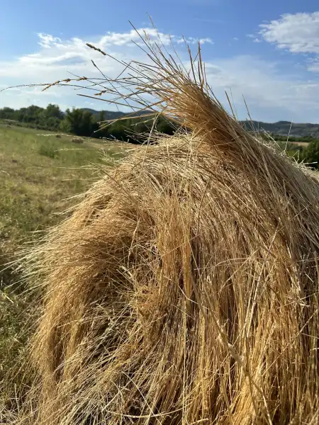 eladó telek, Törökbálint