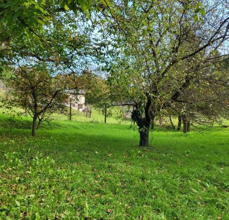 eladó telek, Zalaegerszeg