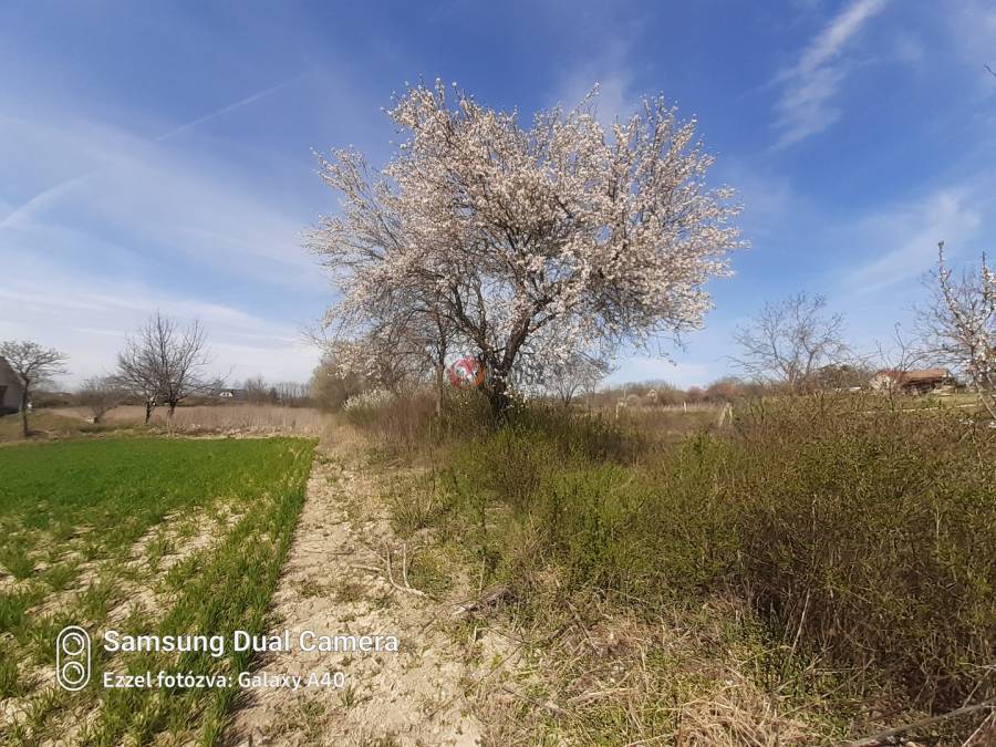 eladó  Üdülő, Balatonfőkajár