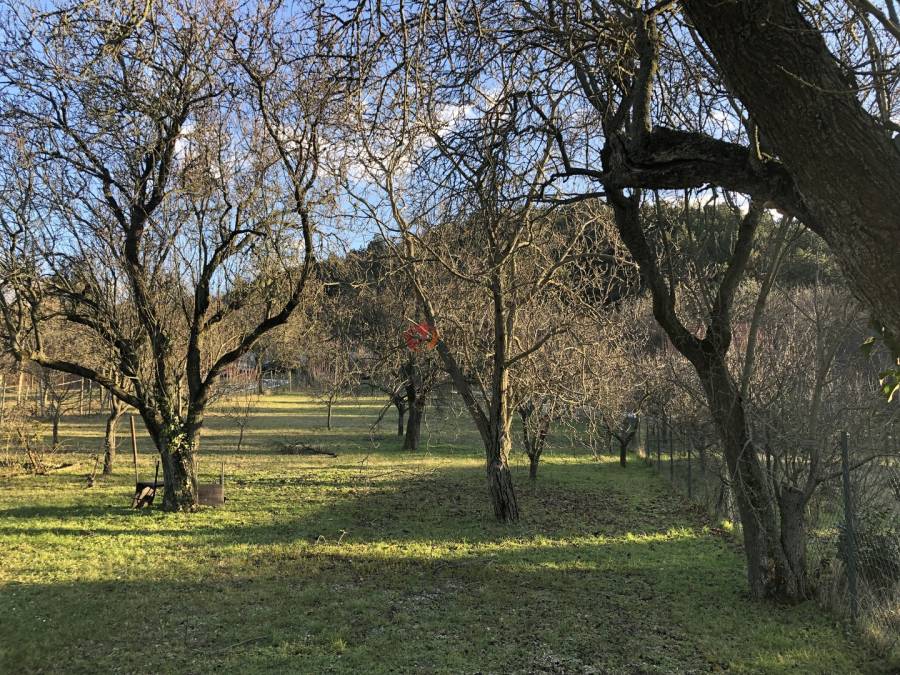 eladó  Üdülő, Budaörs