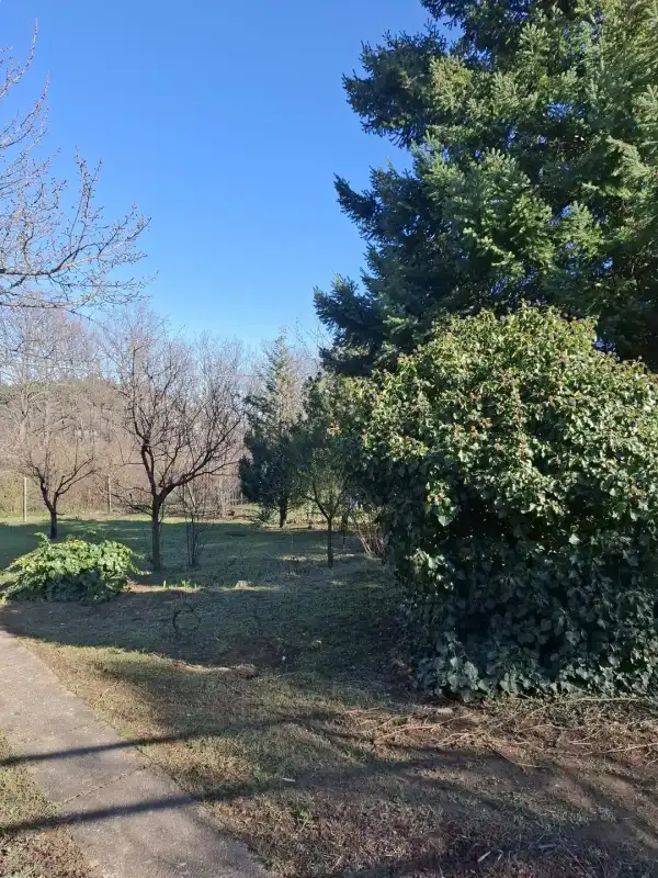 Eladó Üdülő, Budaörs 724 m² 49.8 M Ft