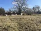 Komárom-Esztergom megye - Oroszlány