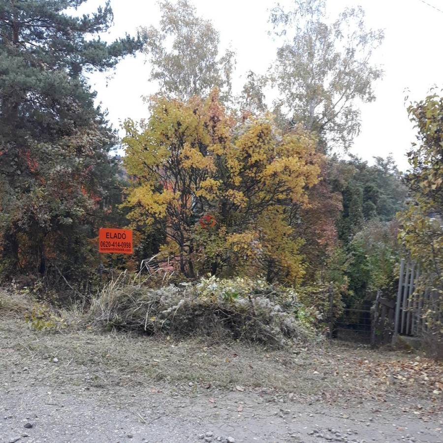 eladó  Üdülő, Szentendre