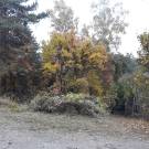 Pest megye - Szentendre