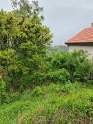 Pest megye - Szentendre